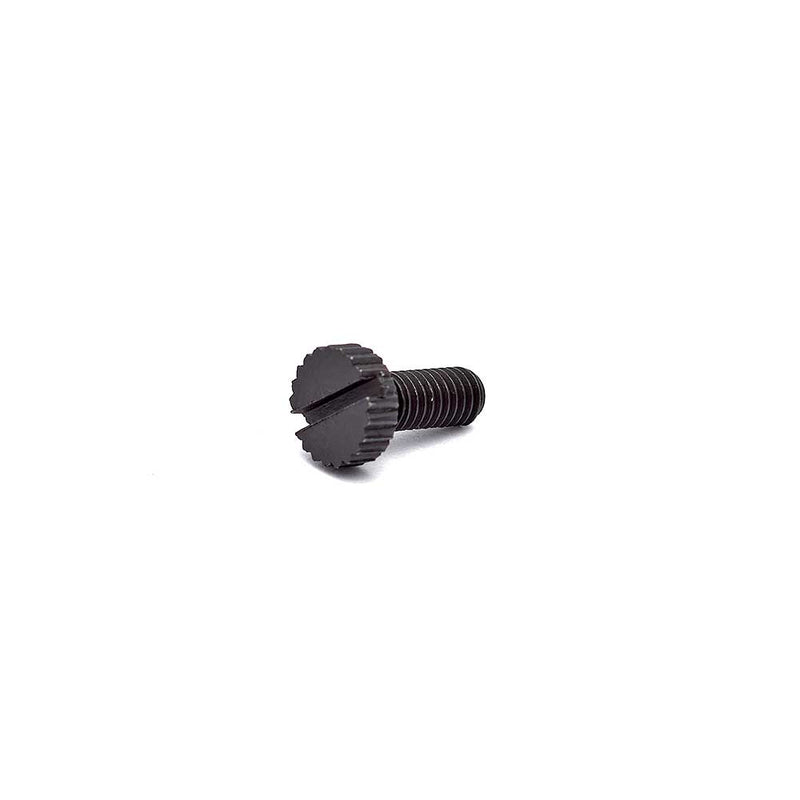 CZ 75 Magazine Catch Spring Screw